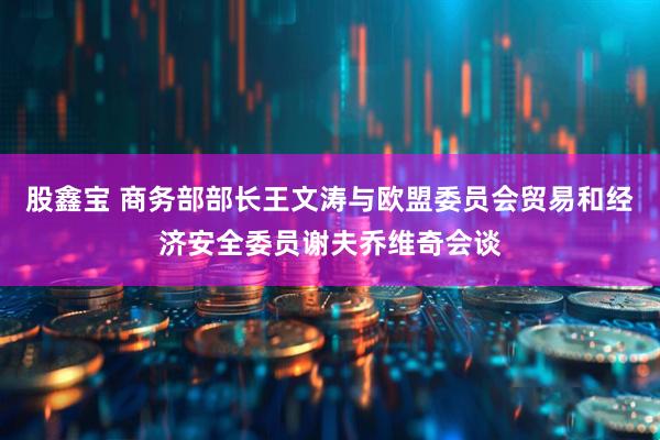 股鑫宝 商务部部长王文涛与欧盟委员会贸易和经济安全委员谢夫乔维奇会谈