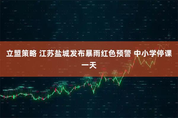 立盟策略 江苏盐城发布暴雨红色预警 中小学停课一天