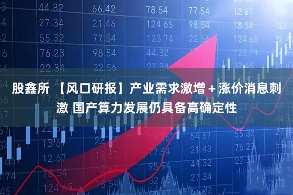 股鑫所 【风口研报】产业需求激增＋涨价消息刺激 国产算力发展仍具备高确定性